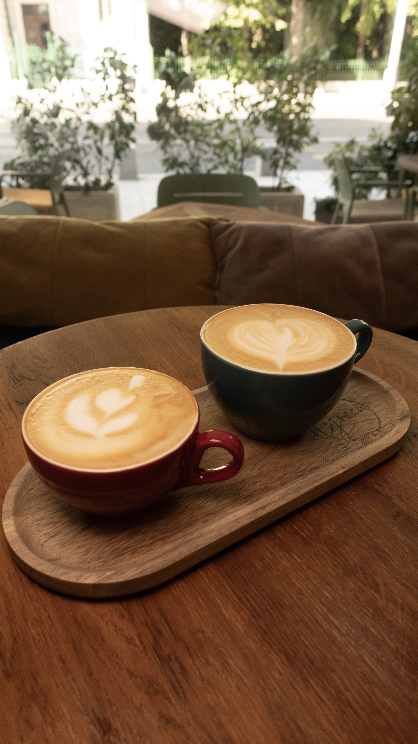 Green Caffe Day